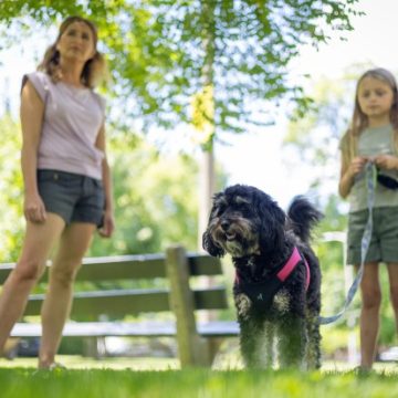 Illinois Tick Season: Earlier Start, Longer Duration, and Expanding Territory