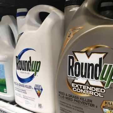 Supreme Court Decision on Monsanto Roundup Sparks Concern Over Corporate Accountability