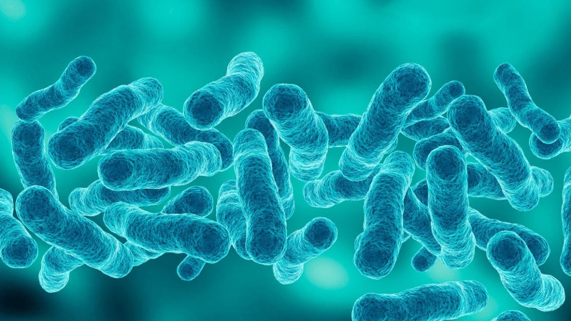 New York City Health Officials Address Legionnaires’ Disease Outbreak