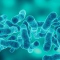 New York City Health Officials Address Legionnaires’ Disease Outbreak
