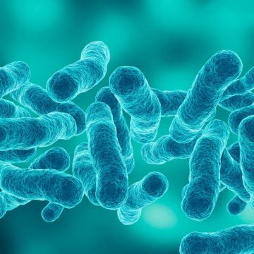 New York City Health Officials Address Legionnaires’ Disease Outbreak