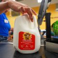 Inflation Drops, But Energy and Grocery Prices Remain Volatile