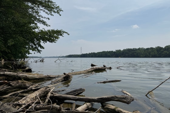 bf8e1d20-580e-4d1c-9421-b19faae2832a Tragic Drowning Incident in Ohio Claims Five Lives