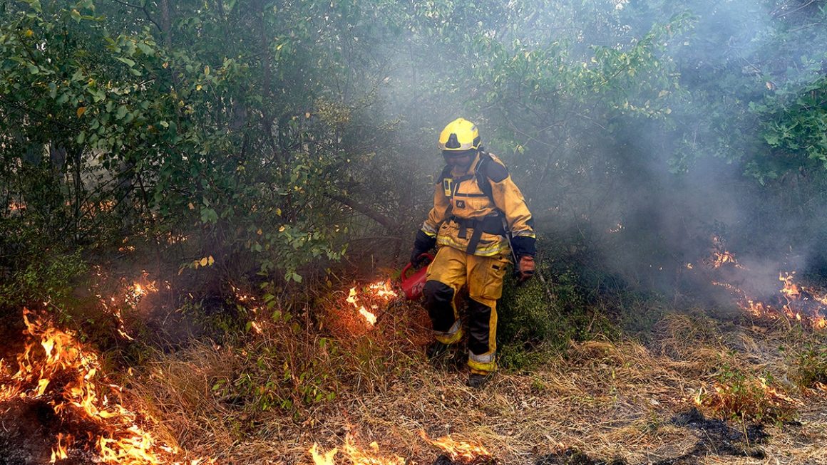 Record Heat and Human Activity Fuel Devastating Wildfires in France and Spain