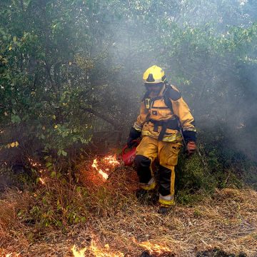 Record Heat and Human Activity Fuel Devastating Wildfires in France and Spain