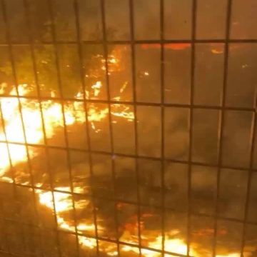c3325f6f-4063-42dc-afbe-ce35095f99d3 Devastating Wildfires Ravage Gironde Region, France