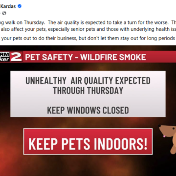 New Yorkers Urged to Stay Indoors Due to Severe Heat and Wildfire Smoke