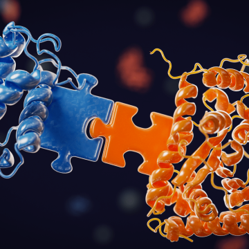 Scientists Decipher Bacterial Production of Cancer-Fighting Compounds