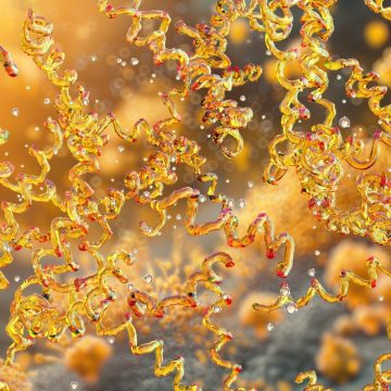 Tick-Borne Bourbon Virus Case Highlights Diagnostic Challenges
