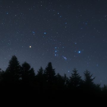 Understanding Orion and the Life Cycle of Stars