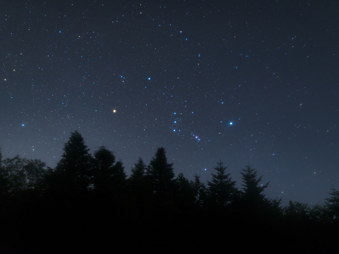 Orion and Stars Rising over a Dark Forest Understanding Orion and the Life Cycle of Stars