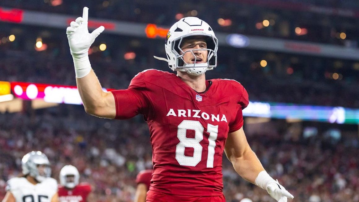 Arizona Cardinals’ Travis Vokolek Retires Due to Neck Injury