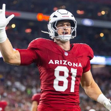 Arizona Cardinals’ Travis Vokolek Retires Due to Neck Injury