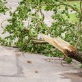 Severe Weather at Six Flags Over Georgia Injures Four Guests
