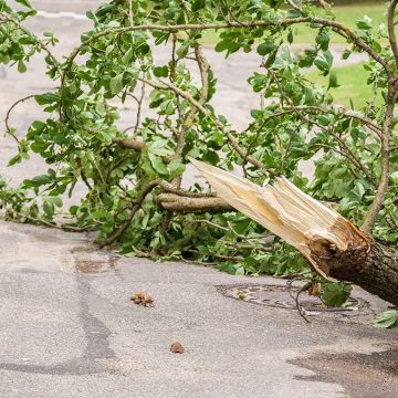 Severe Weather at Six Flags Over Georgia Injures Four Guests
