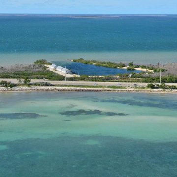 Spiny Lobster Mini Season: A Treasure Hunt in the Florida Keys