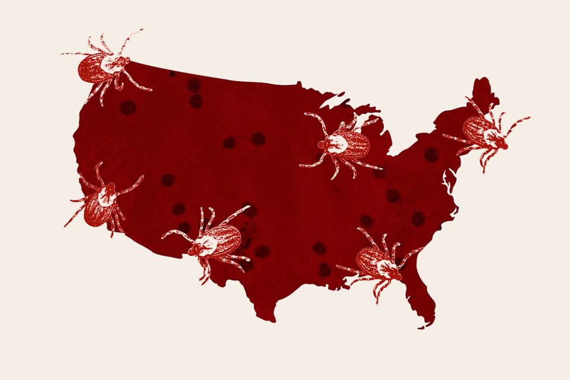 Summer Tick Threats and Their Implications