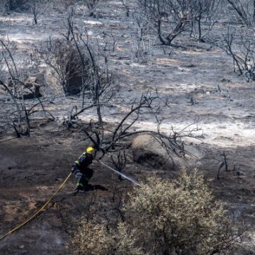 Shifts in Global Wildfire Patterns and Their Causes