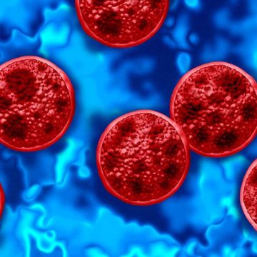 FDA Updates on Cyclospora Outbreak Investigation