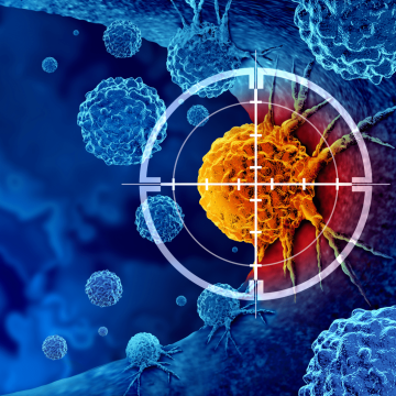 e82a097b-d869-4d59-b37c-55090ba38864 New Nanoparticle Strategy Utilizes Tumors’ Copper for Cancer Treatment