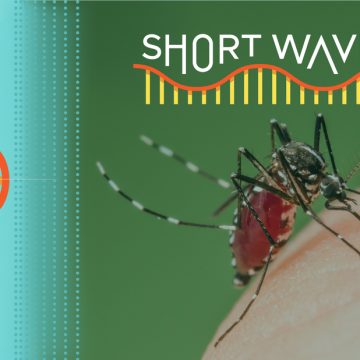 Impact of Climate Change on Mosquitoes: Rising Numbers and Protective Measures