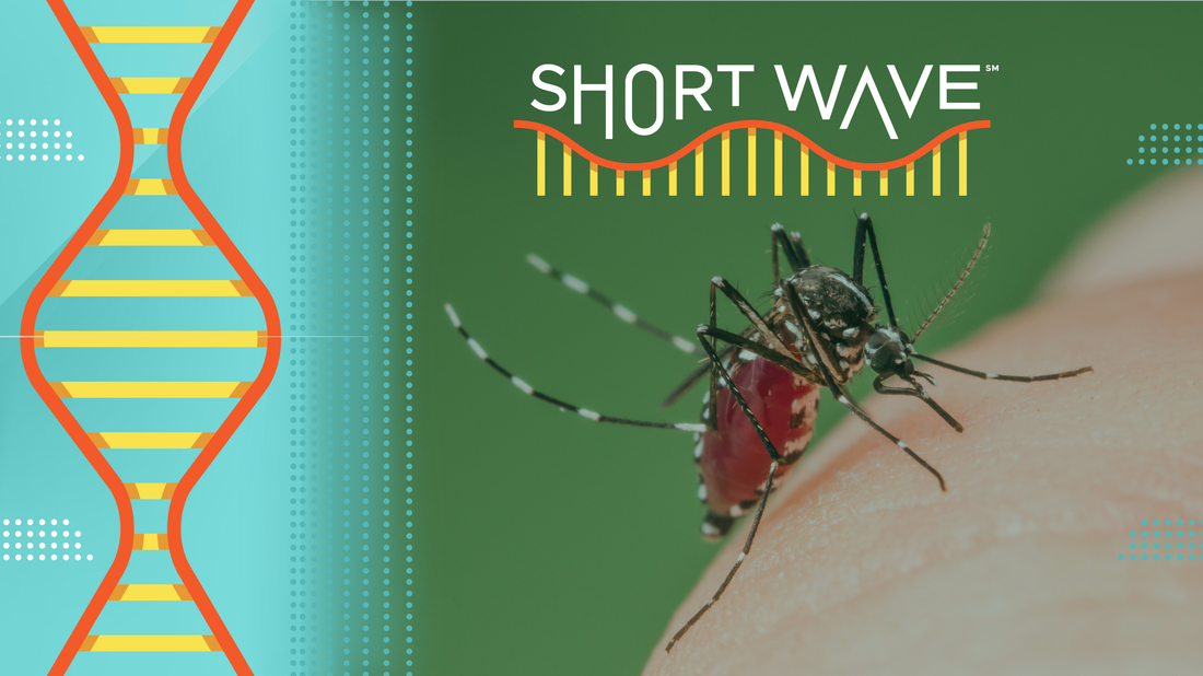 edbc2a53-9ec8-4ef7-b208-f1232c86b587 Impact of Climate Change on Mosquitoes: Rising Numbers and Protective Measures