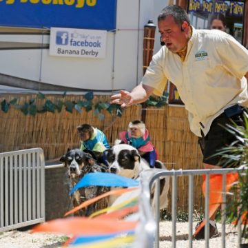 Illinois Expands Animal Protections in Traveling Shows