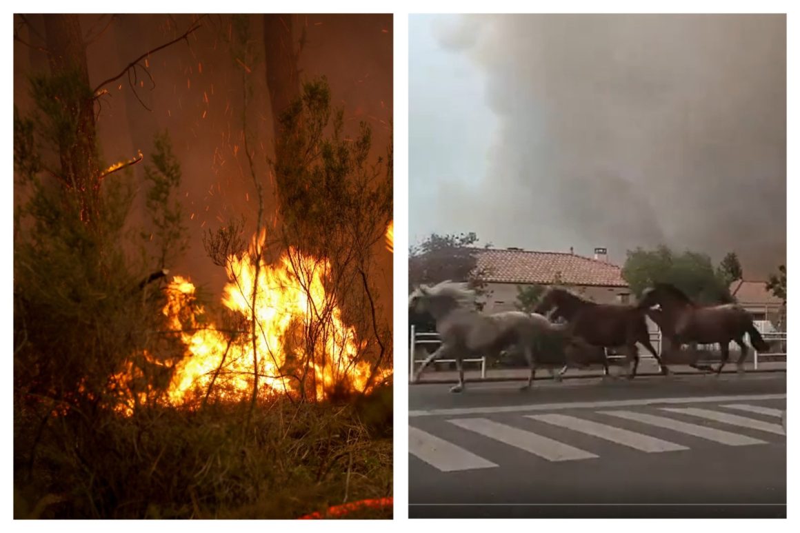 Wildfires Ravage Southwestern France and Spain