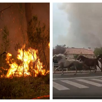 Wildfires Ravage Southwestern France and Spain