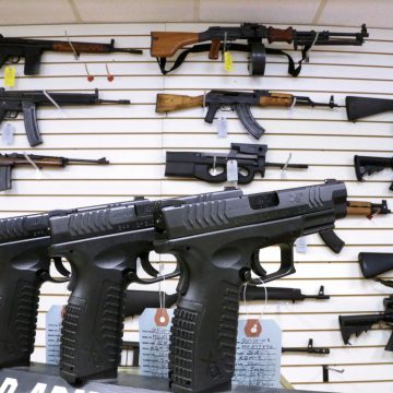 Federal Appeals Court Overturns New Jersey Ban on Assault Weapons
