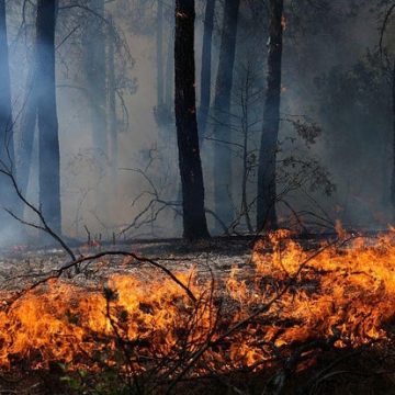 European Wildfires Force Mass Evacuations