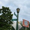 Red-Winged Blackbirds Dive-Bombing Pedestrians in Illinois