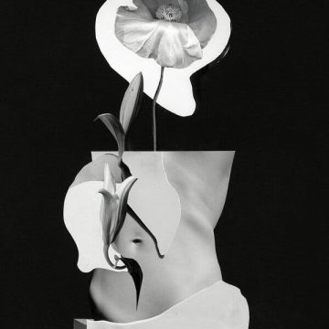 Menopause: A New Era and Market Revolution