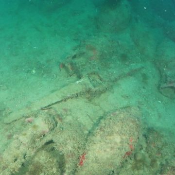 Discovering an Ancient Shipwreck: Insights and Challenges