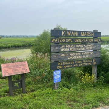 Indiana Wetlands Threatened by Compliance and Development Challenges