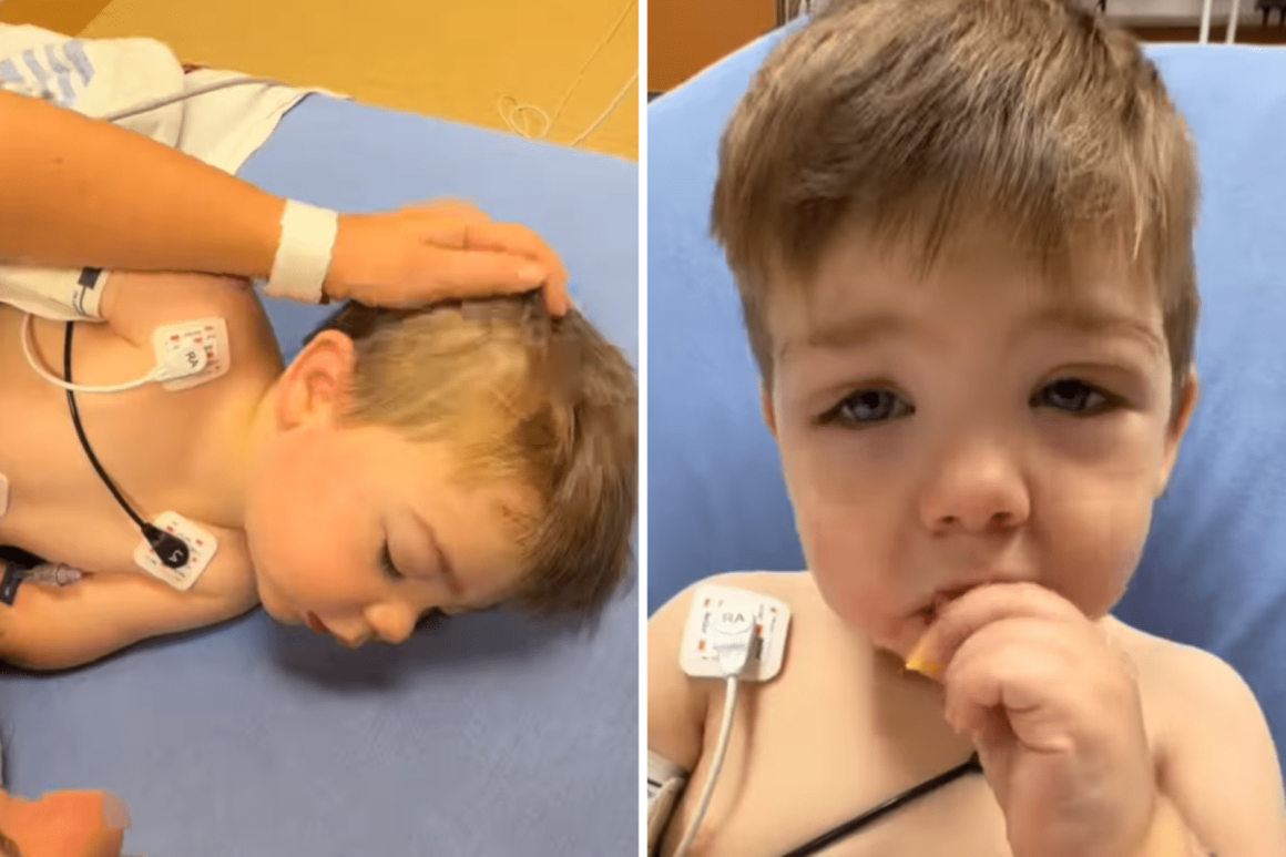 Child’s Quick Recovery After Severe Allergic Reaction to Fire Ant Bites