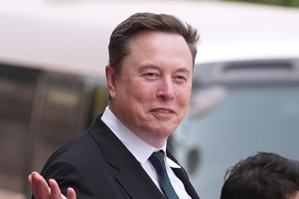 Elon Musk Sparks Debate on Common Sense Solutions