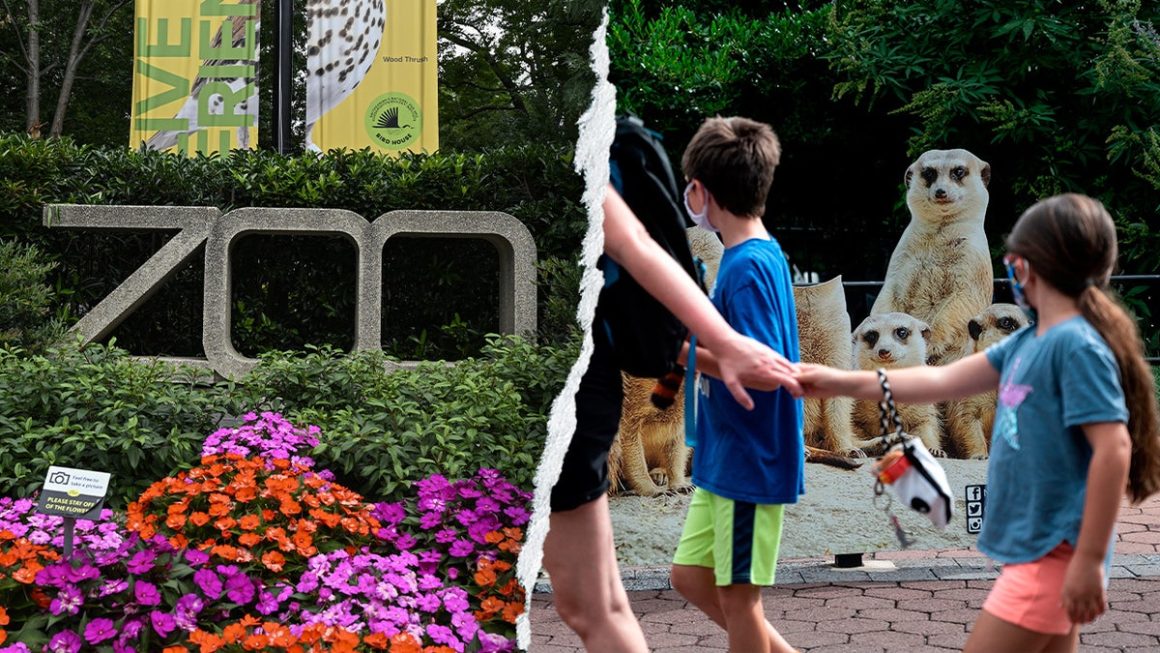 Debate Over ‘Woke’ Messaging at Smithsonian National Zoo