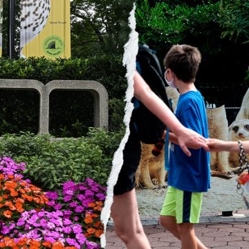 Debate Over ‘Woke’ Messaging at Smithsonian National Zoo