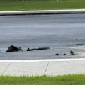 Lincoln Memorial Reflecting Pool Faces Ongoing Issues Amid Renovation