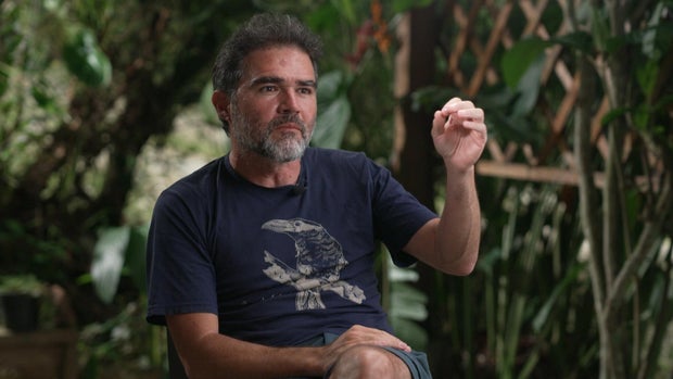3fb45fea-bd0a-4fa4-a5e3-48af19430c0e Ecotourism Thrives Amid Colombia’s Avian Diversity