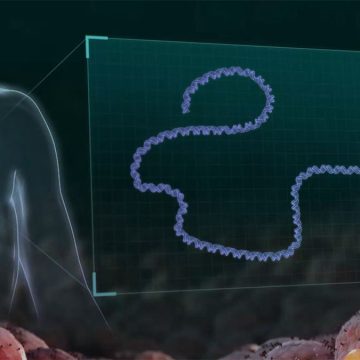 Experimental Skin Cancer Vaccine Shows Promise in Reducing Melanoma Recurrence