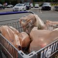 The Push for Clarity in U.S. Recycling Labels