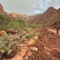 Severe Flash Flooding in Grand Canyon Leads to Water Restrictions and Urgent Search Efforts