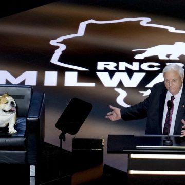 A Call to End Greyhound Racing in West Virginia