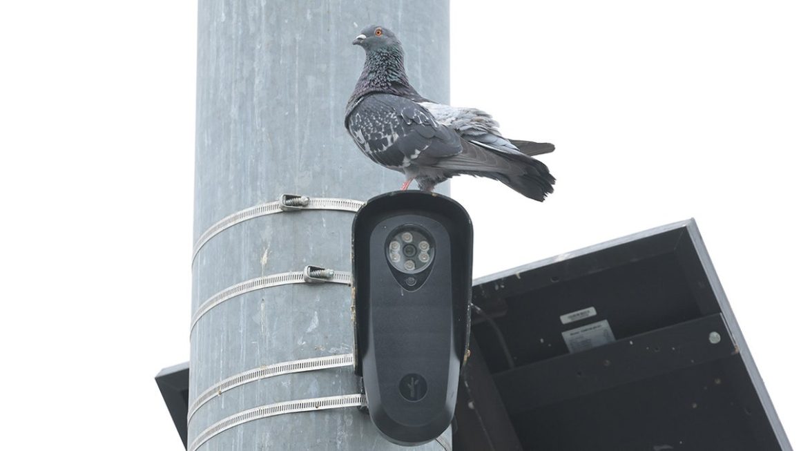 Privacy Concerns over Automatic License Plate Readers Spark National Debate