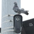 Privacy Concerns over Automatic License Plate Readers Spark National Debate