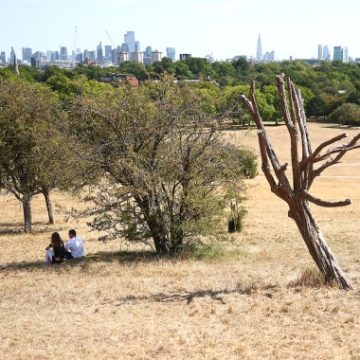 Drought and Heat Waves Transform London’s Parks into Brown Landscapes
