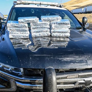 California Authorities Seize Cocaine Worth $800,000 During Traffic Stop