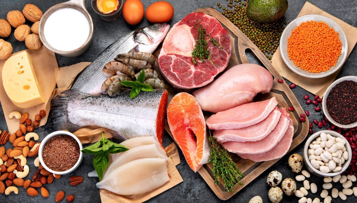 The Impact of High-Protein Diets on Aging and Longevity